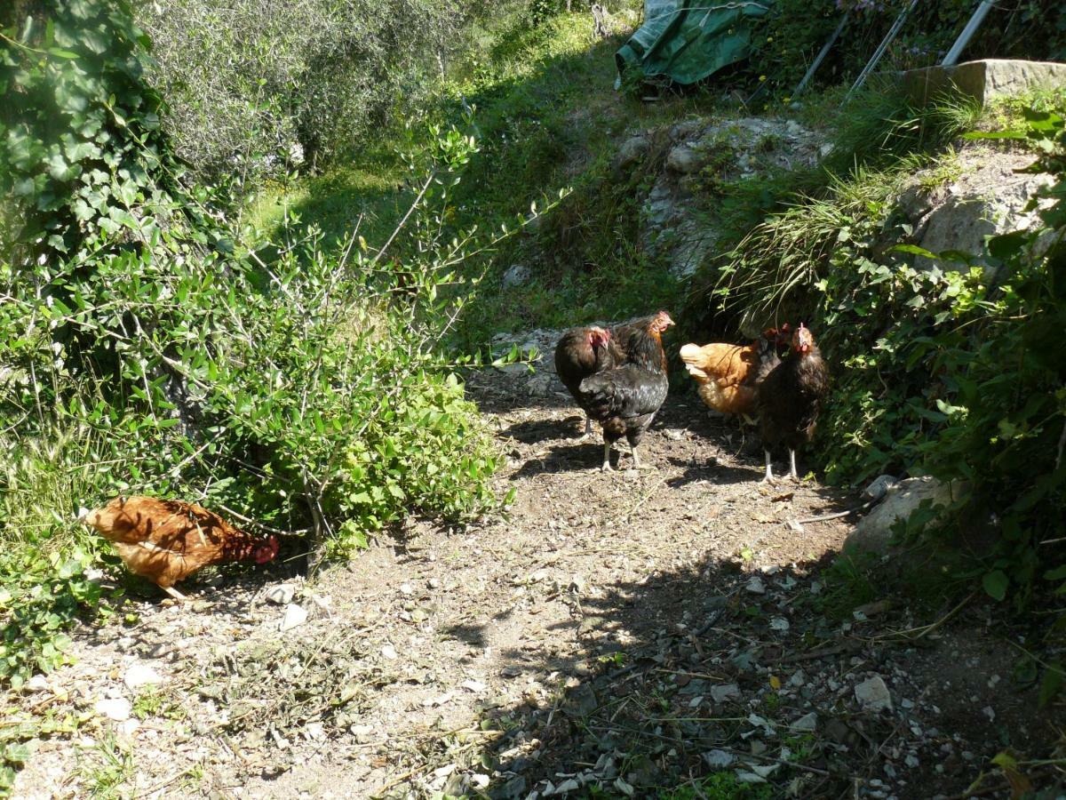 Willa La Ferme Des Cailletiers Chez Marco Lucéram Zewnętrze zdjęcie